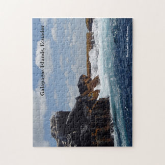 ガラパゴスのパズル(石) ジグソーパズル