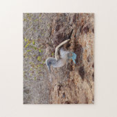 ガラパゴスの青足の最下位のジグソーパズル ジグソーパズル (縦)