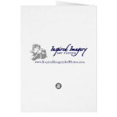 ガラパゴスの青足の鳥 (裏面)