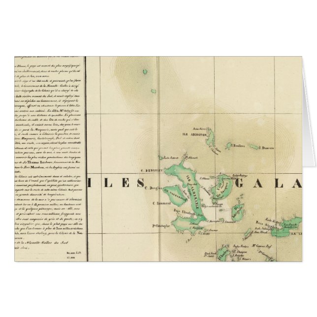 ガラパゴスオセアニアNo 17 (正面横)