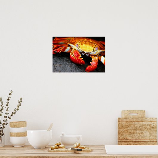 ガラパゴスカニ ポスター (キッチン)