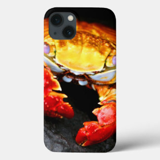ガラパゴスカニ iPhone 13ケース