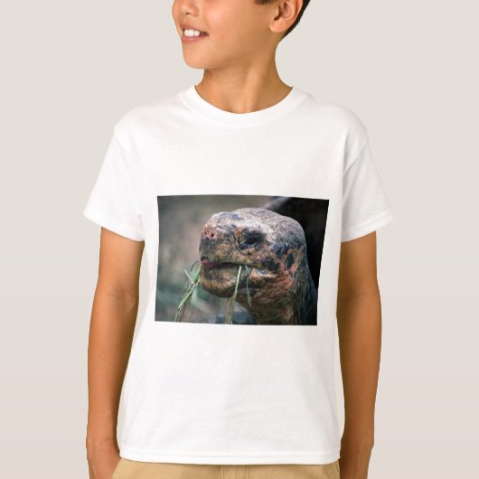 ガラパゴスカメ,ガラパゴス諸島 Tシャツ (正面)