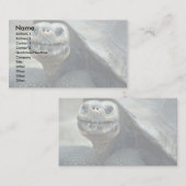 ガラパゴスカメ 名刺 (正面/裏面)