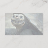 ガラパゴスカメ 名刺 (裏面)