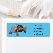 ガラパゴスガメの漫画イラストレーション ラベル (インサイチュ)