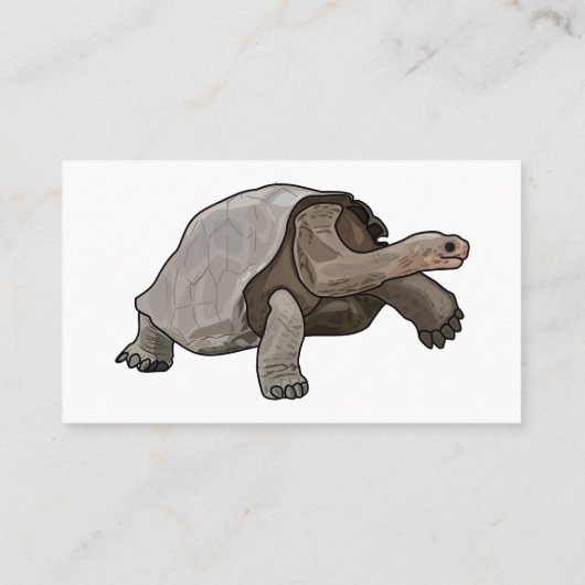 ガラパゴスガメの漫画イラストレーション 名刺 (裏面)