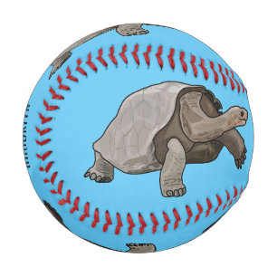 ガラパゴスガメの漫画イラストレーション 野球ボール