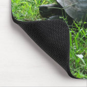 ガラパゴスガメ マウスパッド (コーナー)