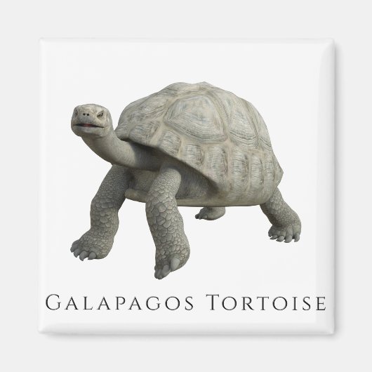 ガラパゴスガメ マグネット (正面)