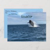 ガラパゴスサンタクルーズエクアドルでのホエールブリーチング ポストカード (正面/裏面)