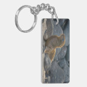 ガラパゴスシーライオン キーホルダー (正面左)