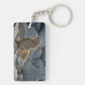 ガラパゴスシーライオン キーホルダー (裏面)