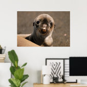 ガラパゴスシーライオン ポスター (ホームオフィス)