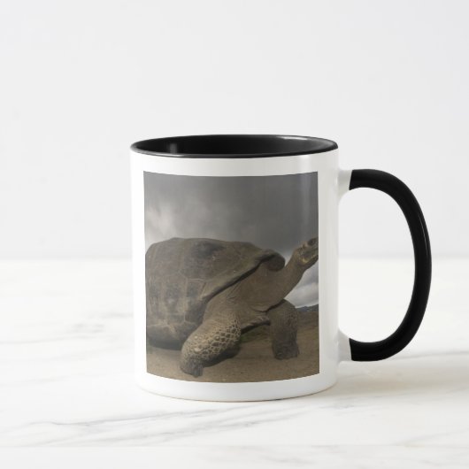 ガラパゴスゾウガメ Geochelone マグカップ (右)