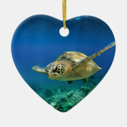ガラパゴスパラダイスグリーンウミガメ水中 セラミックオーナメント (正面)