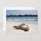 ガラパゴスポストカードのビーチは人生だ ポストカード (正面/裏面)