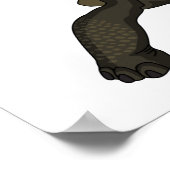 ガラパゴスランドカメイラストレーション ポスター (角)