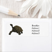 ガラパゴスランドカメイラストレーション ラベル (インサイチュ)