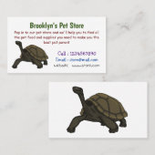 ガラパゴスランドカメイラストレーション 名刺 (正面/裏面)