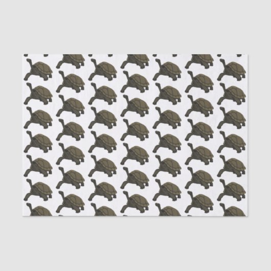 ガラパゴスランドカメイラストレーション 薄葉紙 (正面)