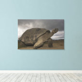 ガラパゴス大亀ジオキロン キャンバスプリント (インサイチュ (ウッドフロア))