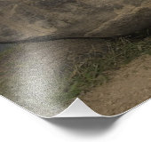 ガラパゴス大亀ジオキロン フォトプリント (角)