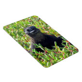 ガラパゴス海産イグアナ マグネット (右側)