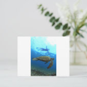 ガラパゴス諸島でのカメとのシュノーケリング ポストカード (スタンド正面)