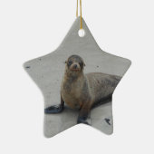 ガラパゴス諸島のアシカ!! セラミックオーナメント (右)