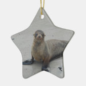 ガラパゴス諸島のアシカ!! セラミックオーナメント (左)