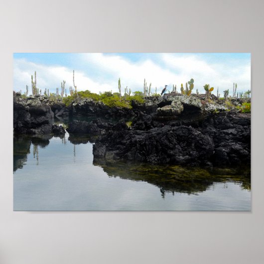 ガラパゴス諸島のロストゥネレス ポスター (正面)