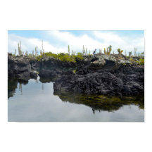 ガラパゴス諸島のロストゥネレス