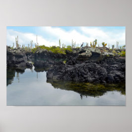 ガラパゴス諸島のロストゥネレス ポスター