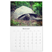 ガラパゴス諸島の動物2025大 カレンダー (3月 2027)