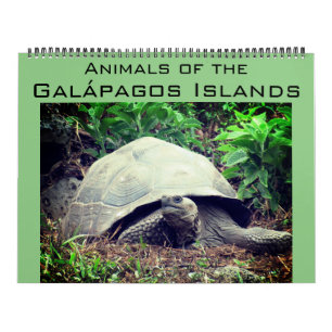ガラパゴス諸島の動物2025大 カレンダー