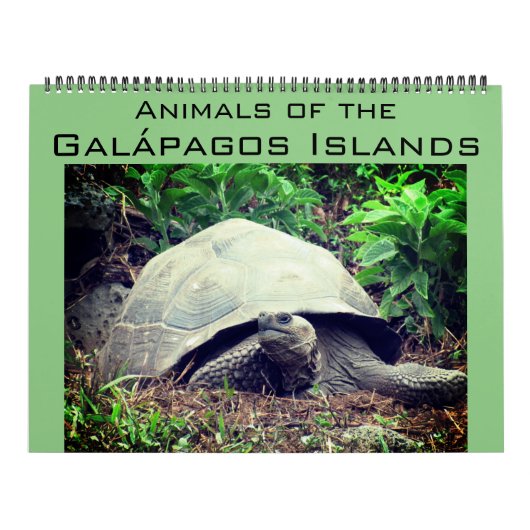 ガラパゴス諸島の動物 2026 大 カレンダー (カバー)