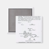 ガラパゴス諸島の地図， 1844 マグネット (正面/裏面)