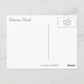 ガラパゴス諸島の夕日 ポストカード (裏面)