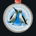 ガラパゴス諸島の青い足を持つ肉食 メタルオーナメント<br><div class="desc">ガラパゴ素晴らしス諸島の休日オーナメントの青い足のboobies。あなたの休日の木に追加するためにあなたの旅の記念。</div>