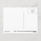 ガラパゴス諸島カメ ポストカード (裏面)