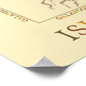 ガラパゴス諸島クラゲ ポスター (角)