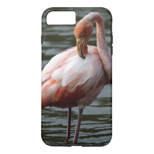 ガラパゴス諸島フラミンゴ Case-Mate iPhoneケース (裏面)