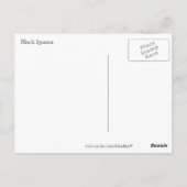 ガラパゴス諸島ブラックイグアナ ポストカード (裏面)