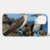 ガラパゴス諸島 イサベラ島 Case-Mate iPhoneケース (裏面 (横))