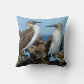 ガラパゴス諸島，イザベラ島 クッション (裏面)