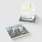 ガラパゴス諸島，イザベラ島 ストーンコースター (横)