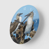 ガラパゴス諸島，イザベラ島 ラウンド壁時計 (傾斜)