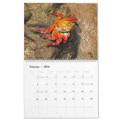 ガラパゴス諸島 カレンダー (2月 2026)