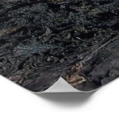 ガラパゴス諸島 ポスター (角)